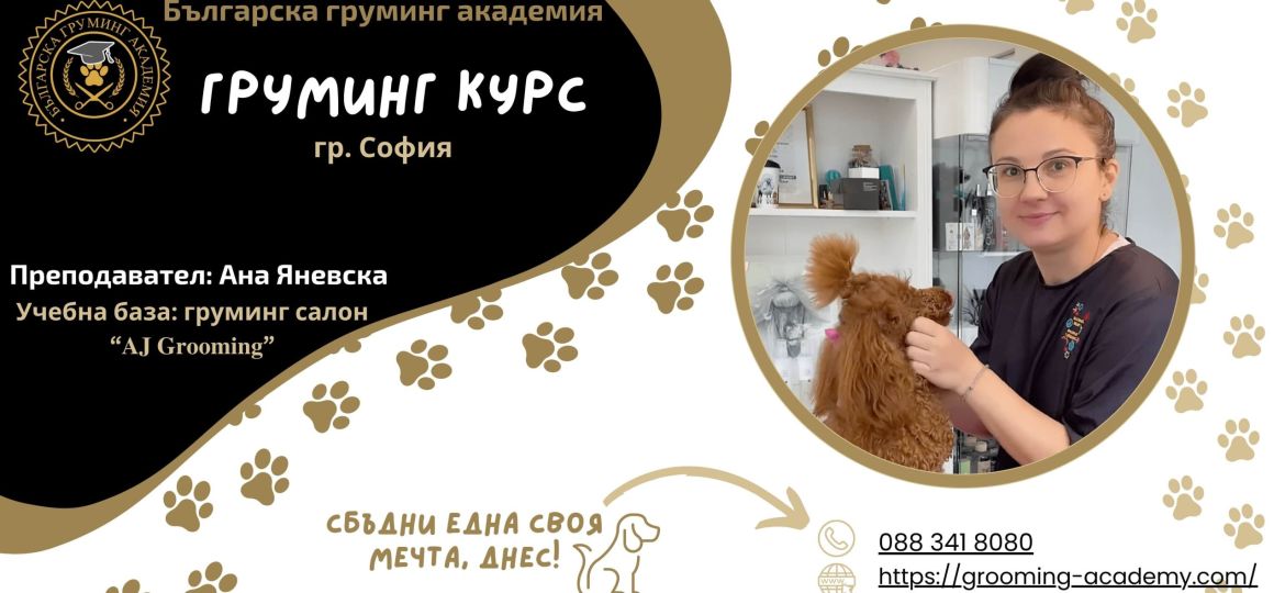 Курс за груминг София