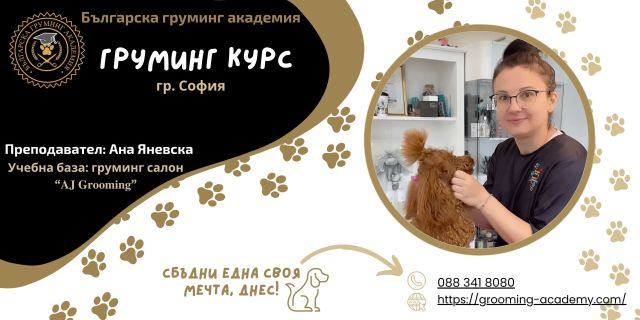 Курс за груминг София