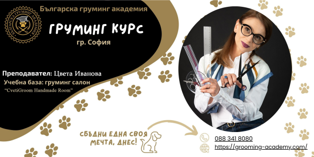 Курс груминг София - Цвета Иванова